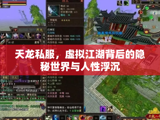 天龙私服，虚拟江湖背后的隐秘世界与人性浮沉