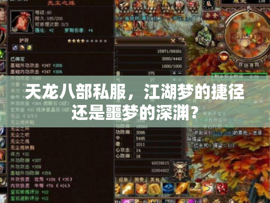 天龙八部私服，江湖梦的捷径还是噩梦的深渊？