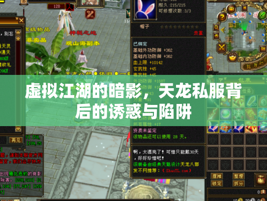 虚拟江湖的暗影，天龙私服背后的诱惑与陷阱