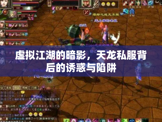 虚拟江湖的暗影，天龙私服背后的诱惑与陷阱
