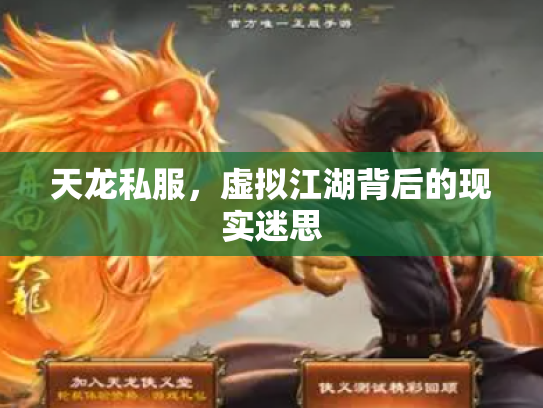 天龙私服，虚拟江湖背后的现实迷思