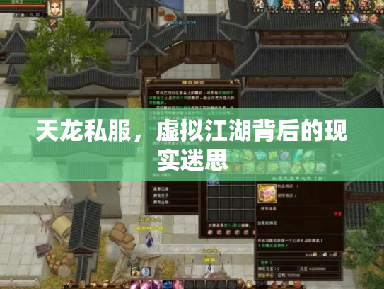 天龙私服，虚拟江湖背后的现实迷思