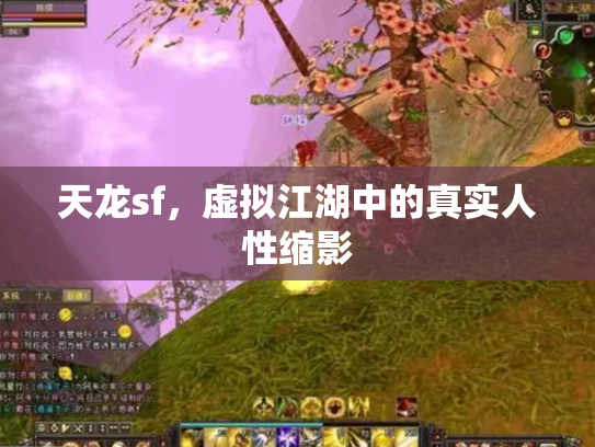 天龙sf，虚拟江湖中的真实人性缩影