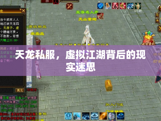 天龙私服，虚拟江湖背后的现实迷思