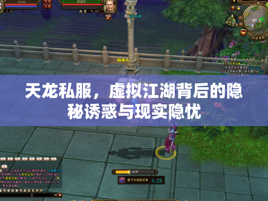 天龙私服，虚拟江湖背后的隐秘诱惑与现实隐忧