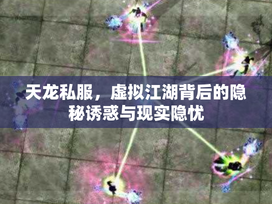 天龙私服，虚拟江湖背后的隐秘诱惑与现实隐忧