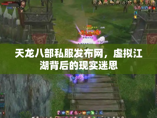 天龙八部私服发布网，虚拟江湖背后的现实迷思