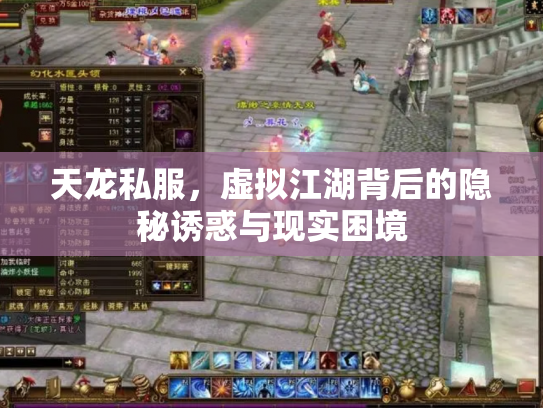 天龙私服，虚拟江湖背后的隐秘诱惑与现实困境
