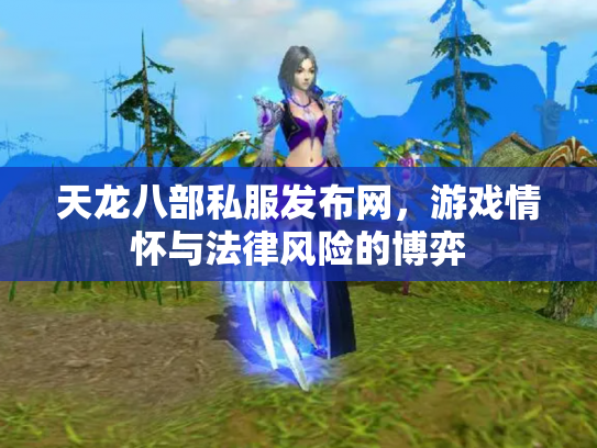 天龙八部私服发布网，游戏情怀与法律风险的博弈