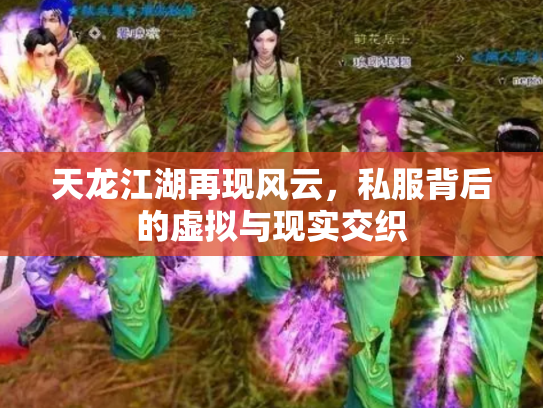 天龙江湖再现风云，私服背后的虚拟与现实交织