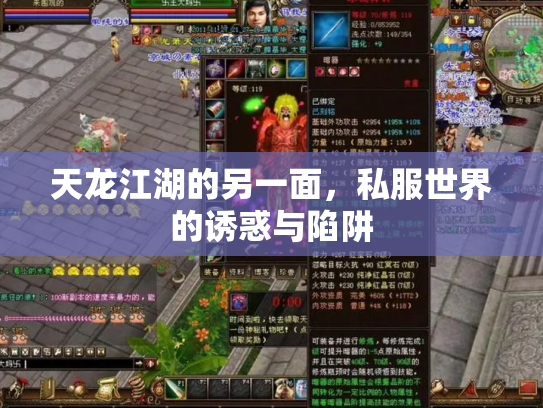 天龙江湖的另一面，私服世界的诱惑与陷阱