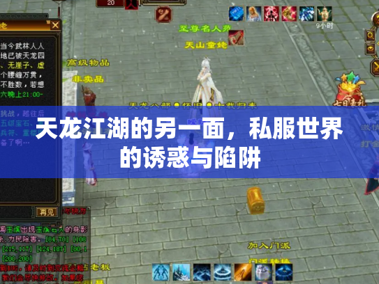 天龙江湖的另一面，私服世界的诱惑与陷阱