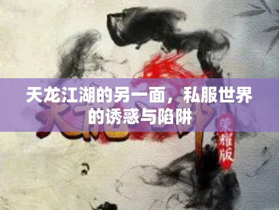 天龙江湖的另一面，私服世界的诱惑与陷阱