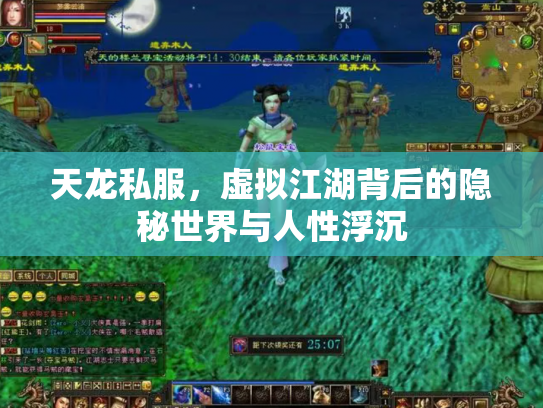 天龙私服，虚拟江湖背后的隐秘世界与人性浮沉