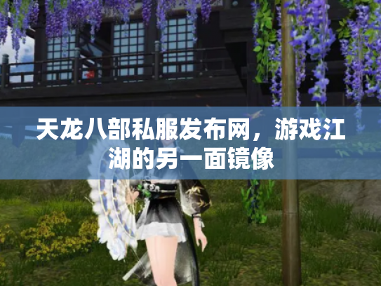 天龙八部私服发布网，游戏江湖的另一面镜像