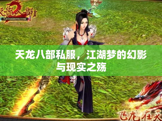 天龙八部私服，江湖梦的幻影与现实之殇