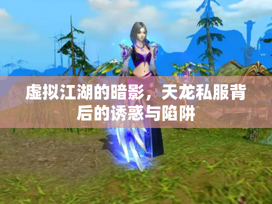 虚拟江湖的暗影，天龙私服背后的诱惑与陷阱
