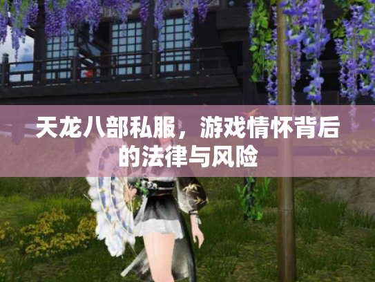 天龙八部私服，游戏情怀背后的法律与风险