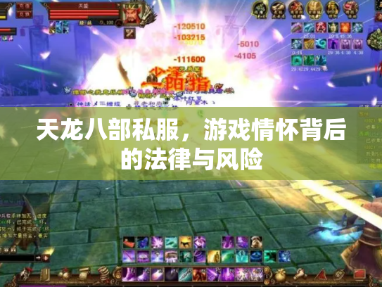 天龙八部私服，游戏情怀背后的法律与风险