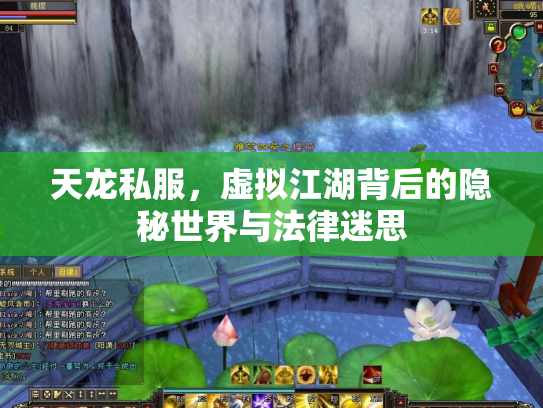 天龙私服，虚拟江湖背后的隐秘世界与法律迷思