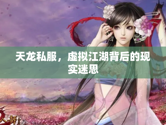 天龙私服，虚拟江湖背后的现实迷思