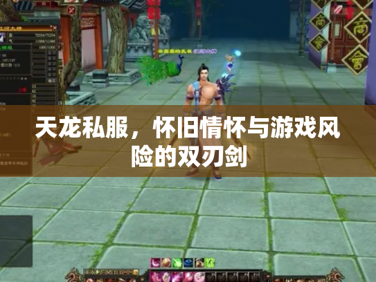 天龙私服，怀旧情怀与游戏风险的双刃剑