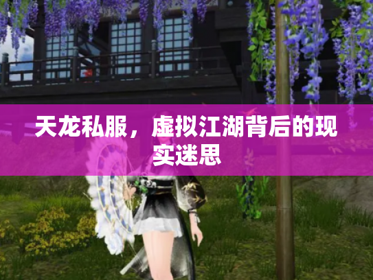天龙私服，虚拟江湖背后的现实迷思