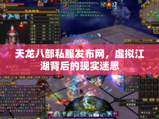 天龙八部私服发布网，虚拟江湖背后的现实迷思