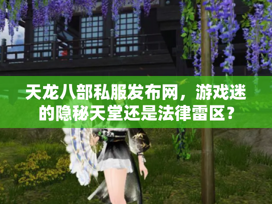 天龙八部私服发布网，游戏迷的隐秘天堂还是法律雷区？