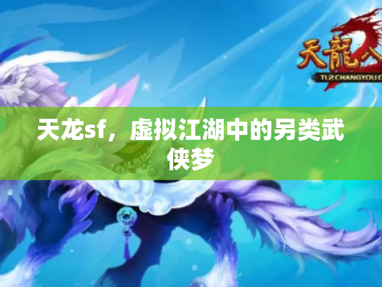 天龙sf，虚拟江湖中的另类武侠梦