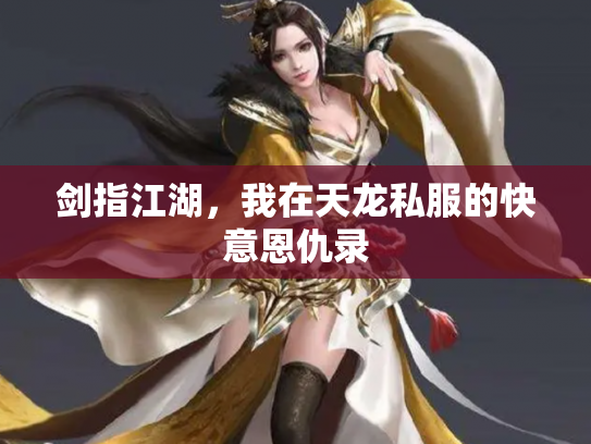 剑指江湖，我在天龙私服的快意恩仇录