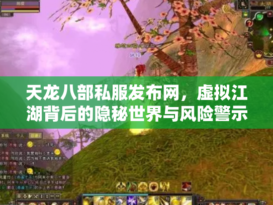 天龙八部私服发布网，虚拟江湖背后的隐秘世界与风险警示