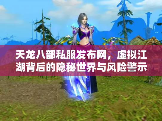 天龙八部私服发布网，虚拟江湖背后的隐秘世界与风险警示