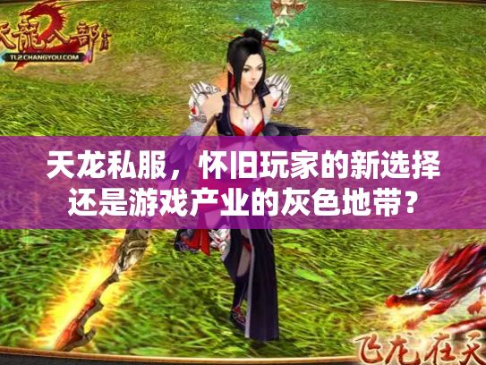 天龙私服，怀旧玩家的新选择还是游戏产业的灰色地带？