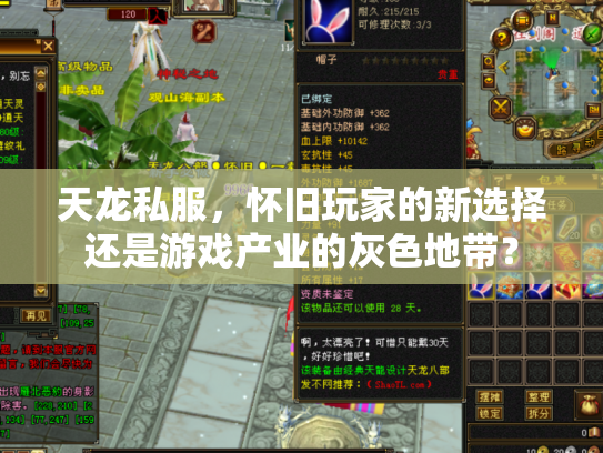 天龙私服，怀旧玩家的新选择还是游戏产业的灰色地带？