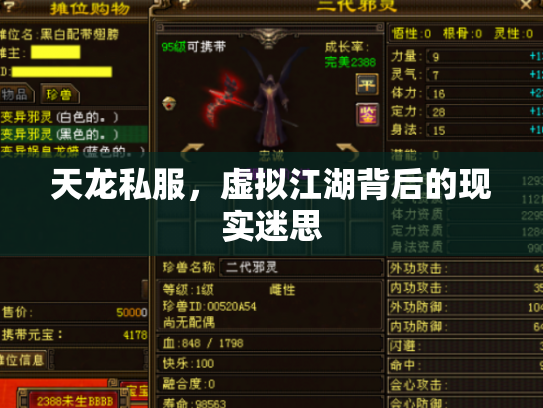 天龙私服，虚拟江湖背后的现实迷思
