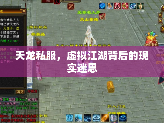 天龙私服，虚拟江湖背后的现实迷思