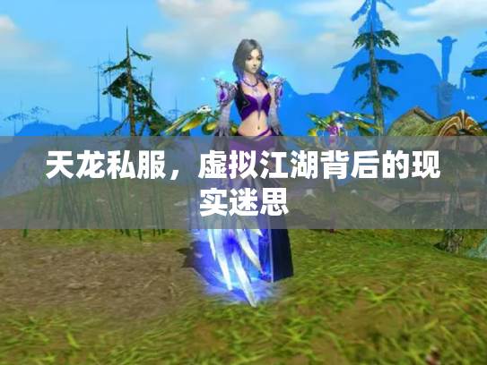 天龙私服，虚拟江湖背后的现实迷思