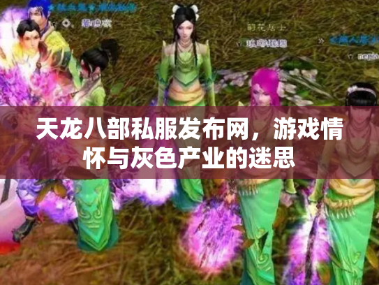 天龙八部私服发布网，游戏情怀与灰色产业的迷思