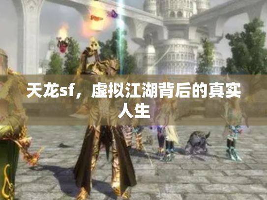 天龙sf，虚拟江湖背后的真实人生
