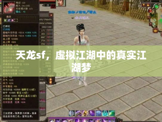 天龙sf，虚拟江湖中的真实江湖梦