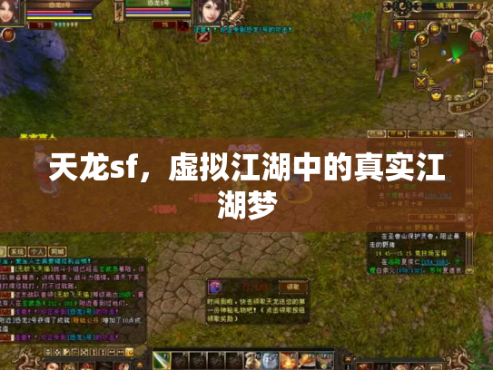 天龙sf，虚拟江湖中的真实江湖梦