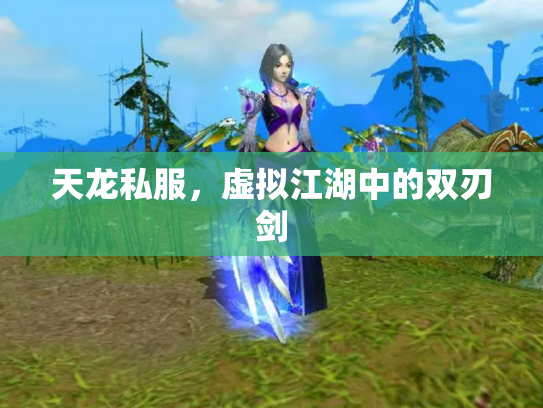 天龙私服，虚拟江湖中的双刃剑