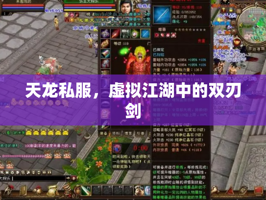 天龙私服，虚拟江湖中的双刃剑