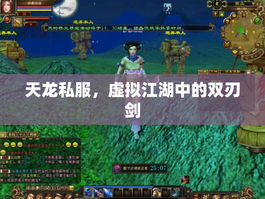天龙私服，虚拟江湖中的双刃剑