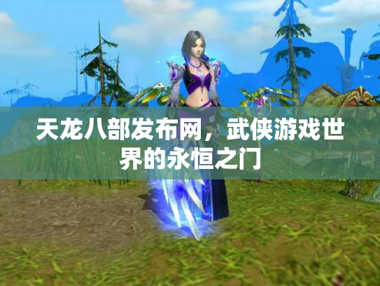 天龙八部发布网，武侠游戏世界的永恒之门