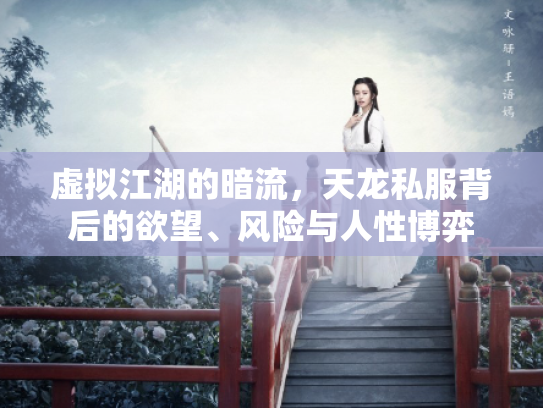 虚拟江湖的暗流，天龙私服背后的欲望、风险与人性博弈