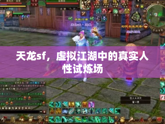 天龙sf，虚拟江湖中的真实人性试炼场