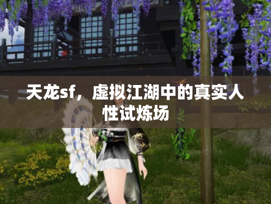 天龙sf，虚拟江湖中的真实人性试炼场