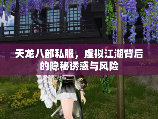 天龙八部私服，虚拟江湖背后的隐秘诱惑与风险